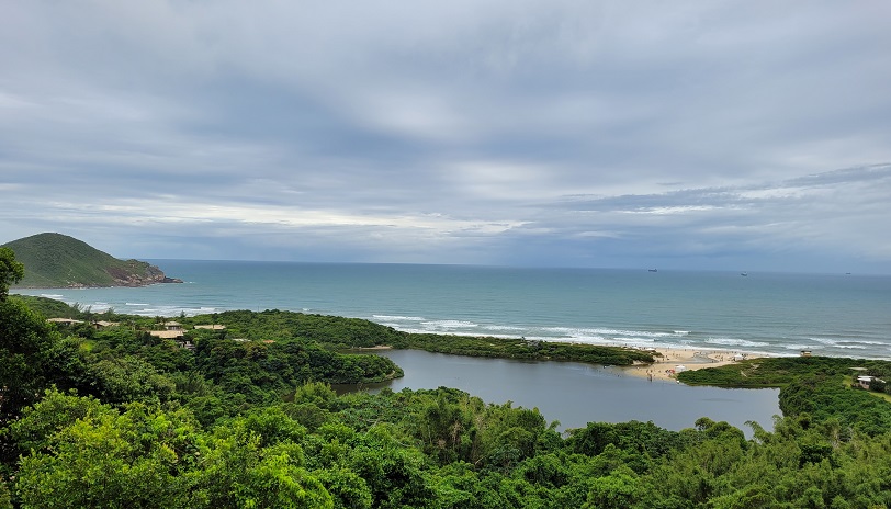 Quais são as condições ideais para surfar? 